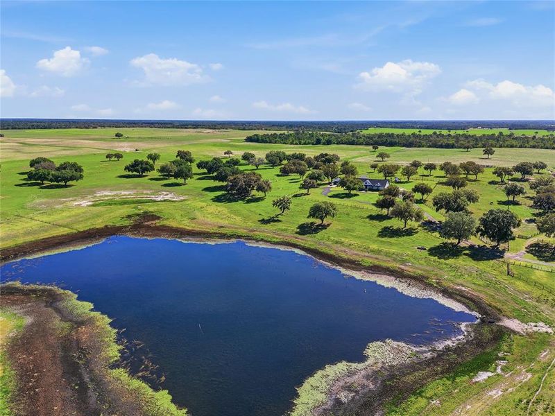 Natural landscape and outdoor views near  in Bronson (Image 71).