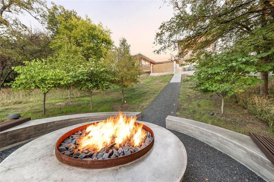 Fire pit and seating in backyard.