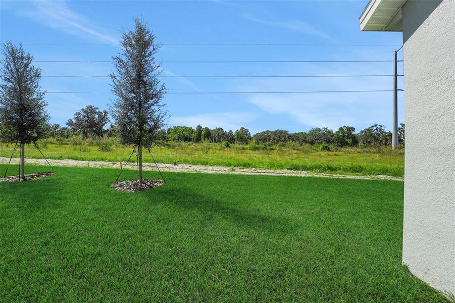 Exterior details and patio area of a home in Willowbrook North, Winter Haven (Image 20).