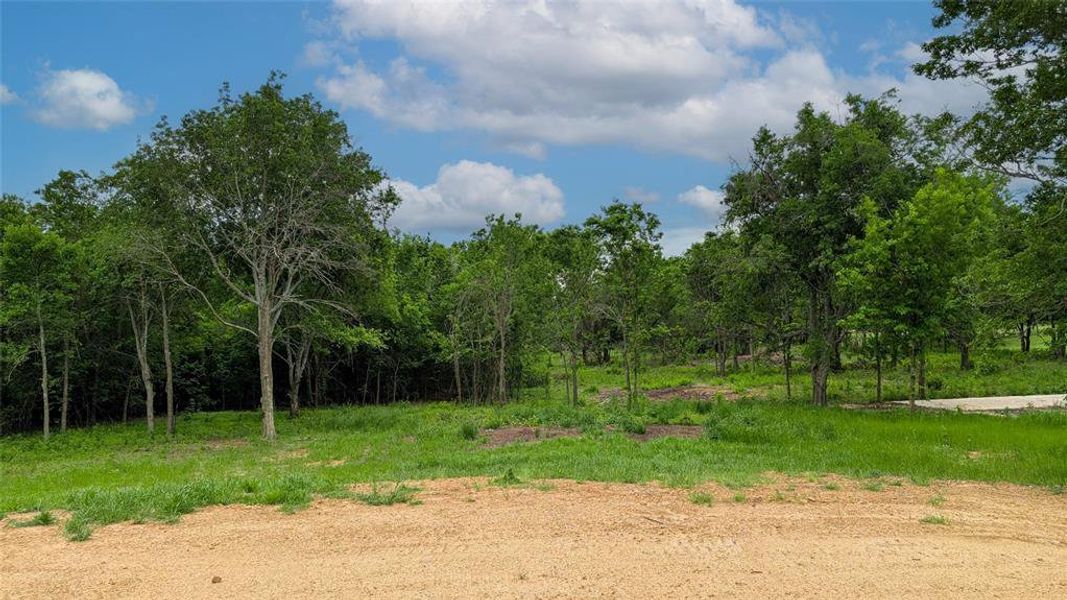 Natural landscape and outdoor views near  in Cleburne (Image 29).