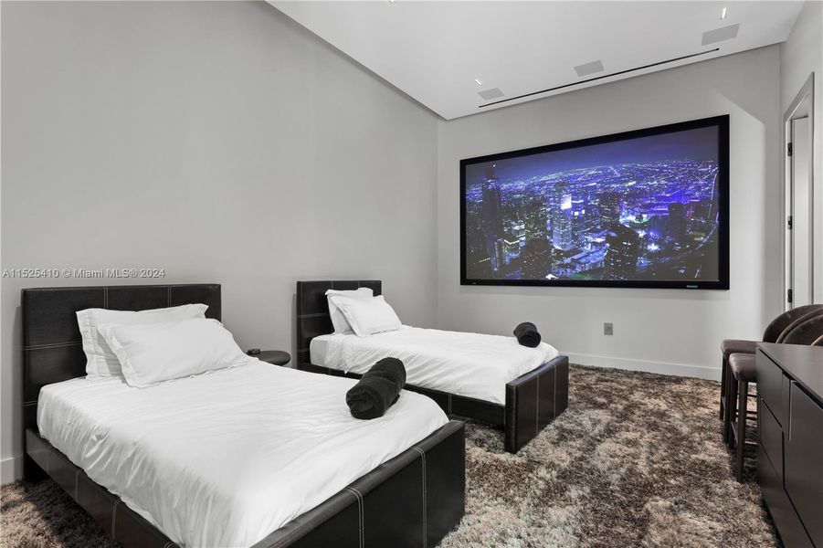 movie theater/guest bedroom