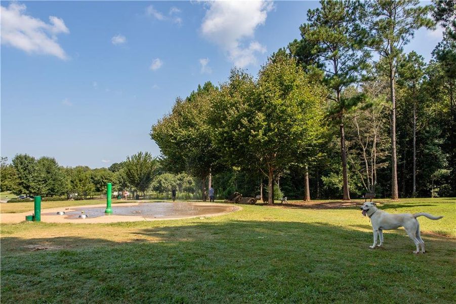 Image 27 of a home in Riversong.