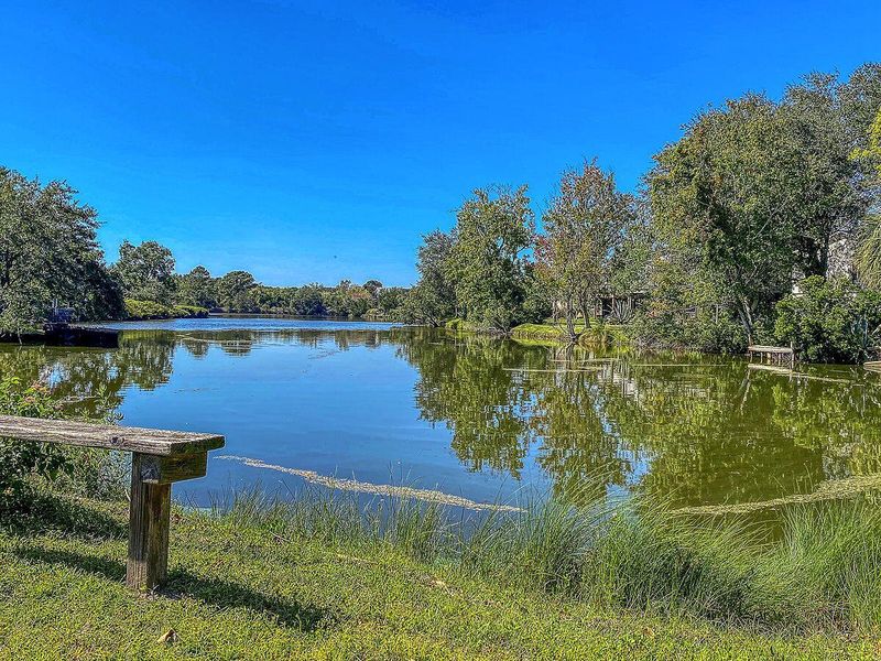 Natural landscape and outdoor views near  in Charleston (Image 32).