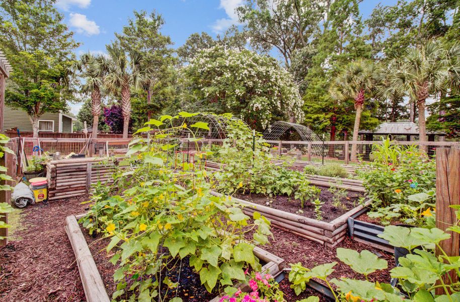 Natural landscape and outdoor views near  in Moncks Corner (Image 73).