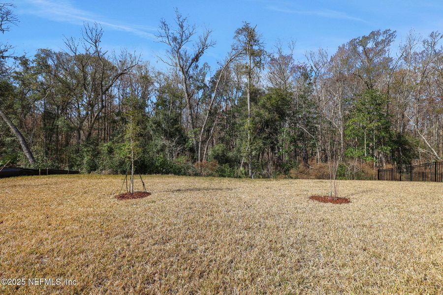 Natural landscape and outdoor views near TrailMark in St. Augustine (Image 62).