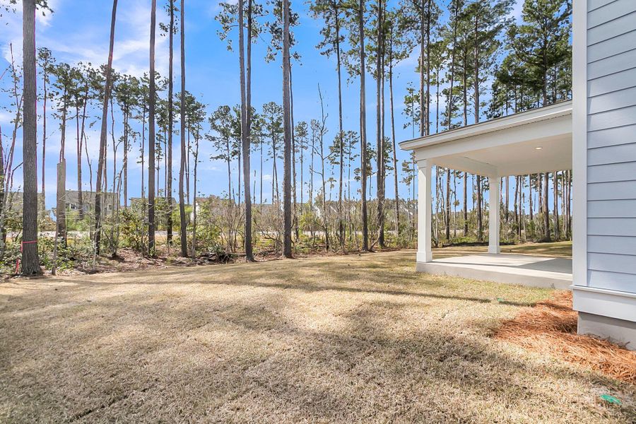 Exterior details and patio area of a home in Tidewater at Lakes of Cane Bay, Summerville (Image 25).
