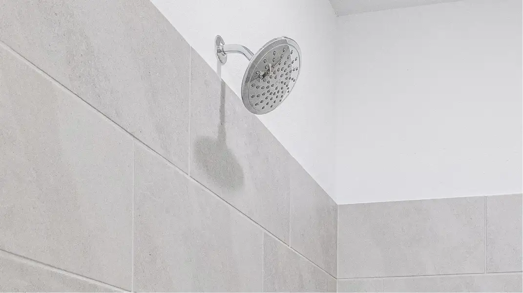 Divisional EI Chrome Shower Head