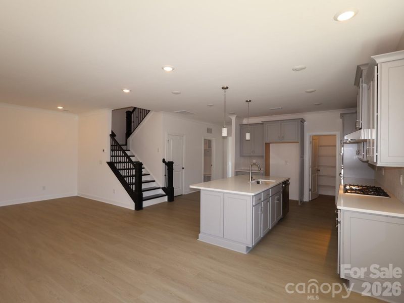Kitchen and family room