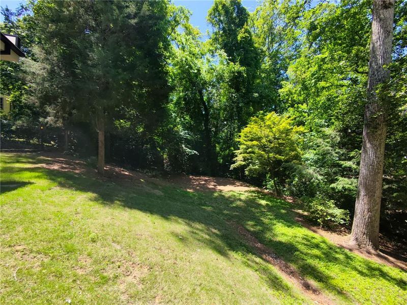 Natural landscape and outdoor views near  in Atlanta (Image 47).