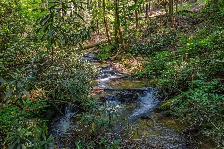 Natural landscape and outdoor views near in Blue Ridge (Image 28). Natural landscape and outdoor views near in Blue Ridge (Image 28).
