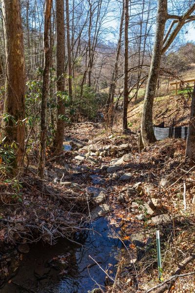 Natural landscape and outdoor views near  in Weaverville (Image 25).