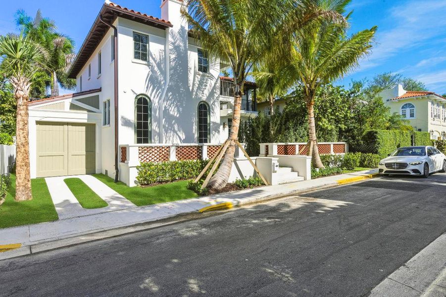 _DSC1619_with_grass _DSC1619_with_grass