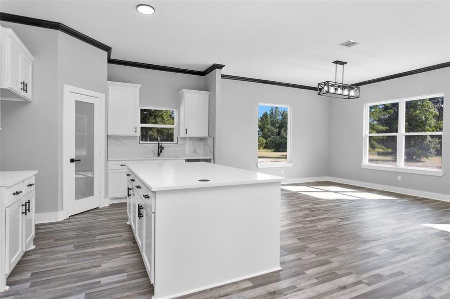 Finally we enter into your main living space that is absolutely fabulous. Starting in your kitchen featuring walk-in pantry and large island with storage.