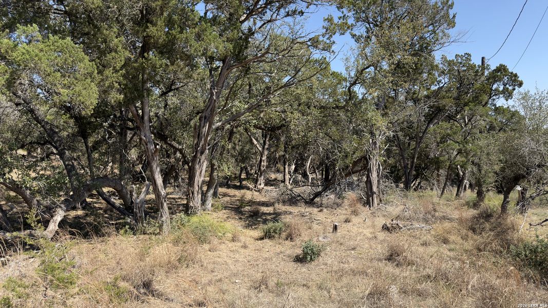 Natural landscape and outdoor views near in Canyon Lake (Image 8). Natural landscape and outdoor views near in Canyon Lake (Image 8).