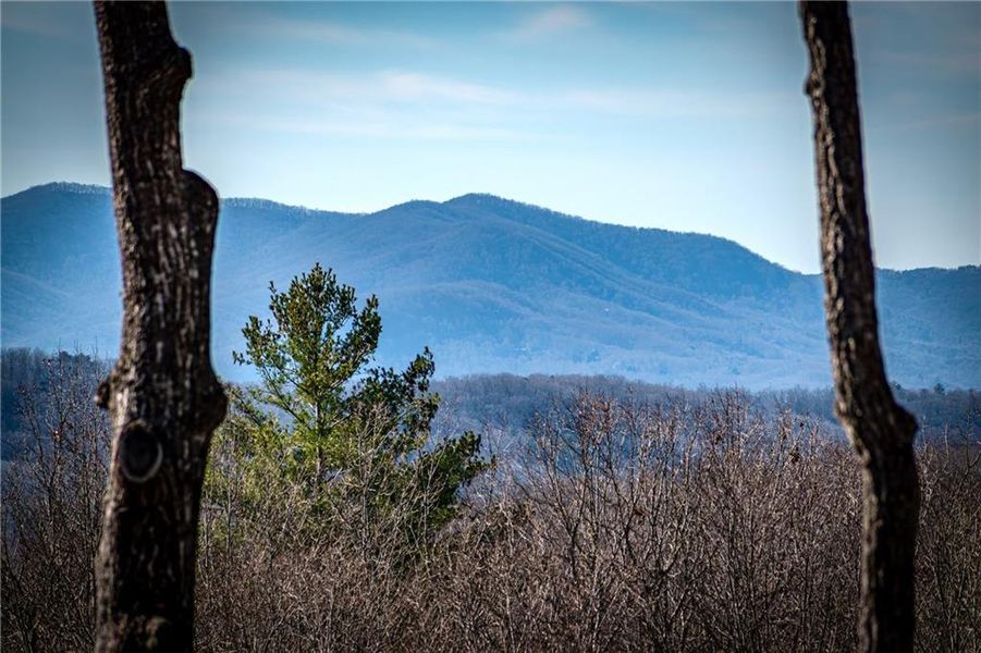 Natural landscape and outdoor views near  in Morganton (Image 60).