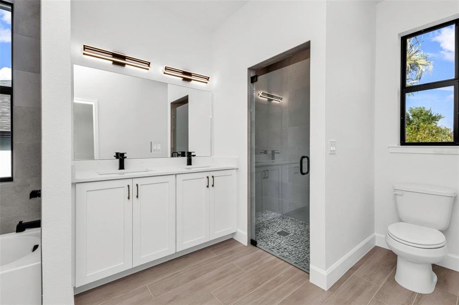 Furnished interior view inside a new home in , Port Charlotte (Image 14). Furnished interior view inside a new home in , Port Charlotte (Image 14).