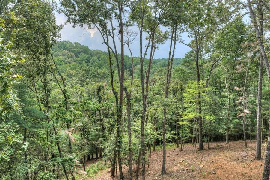 Natural landscape and outdoor views near in Ellijay (Image 46). Natural landscape and outdoor views near in Ellijay (Image 46).