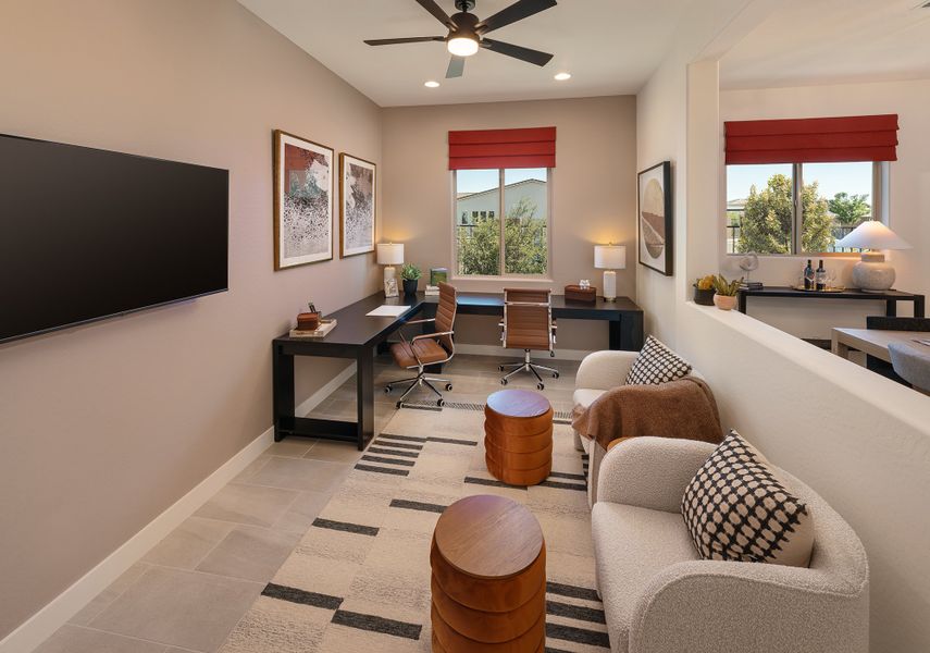 The Muscat - Study The Muscat - Study