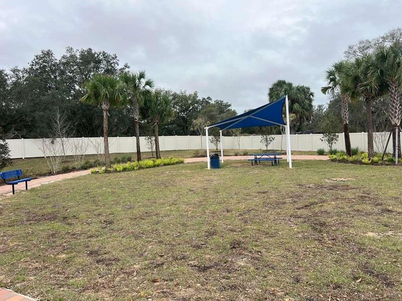 Community amenities in Deer Run, Davenport (Image 36). Community amenities in Deer Run, Davenport (Image 36).