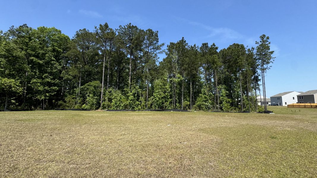 Natural landscape and outdoor views near Watson Hill in Summerville (Image 45).
