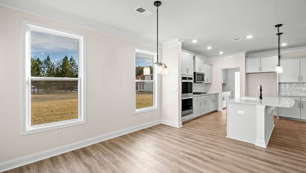 Image 34 representing the HAMPSHIRE by D.R. Horton in Whitehawk Meadows, Travelers Rest, SC.