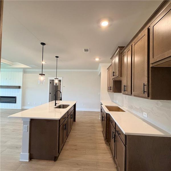 Furnished interior view inside a new home in Fowler Farms, Auburn (Image 7).