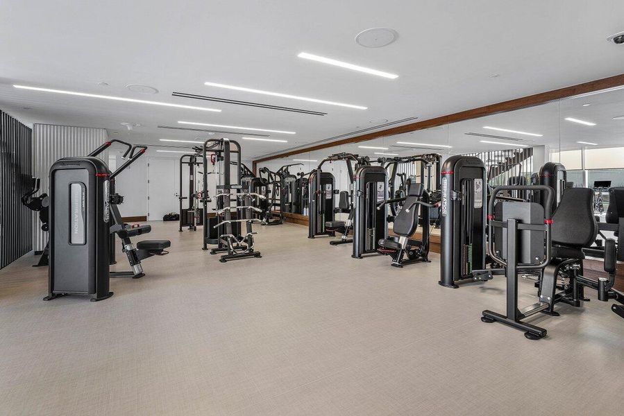 Gym Gym