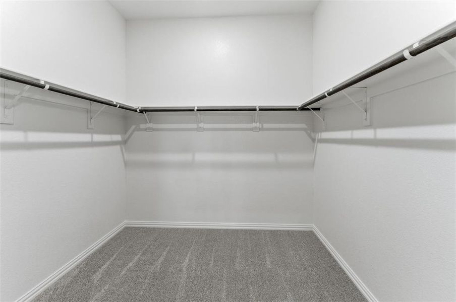 Walk in closet featuring dark colored carpet