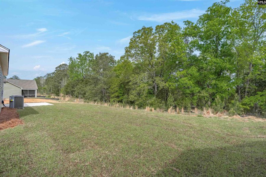 Natural landscape and outdoor views near Rolling Hills in Prosperity (Image 37). Natural landscape and outdoor views near Rolling Hills in Prosperity (Image 37).