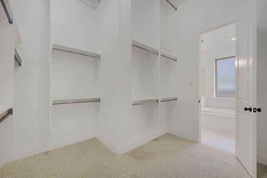 Spacious closet featuring multiple shelving units with hanging rods, light-toned carpeting, white baseboards, and a doorway leading to a bathroom with a window and a built-in tub