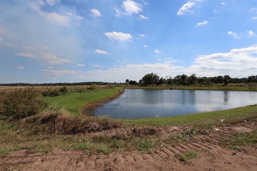 Natural landscape and outdoor views near Coasterra in Palmetto (Image 37).