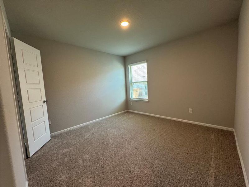 Neutral-toned wall paint and textured carpet flooring Neutral-toned wall paint and textured carpet flooring
