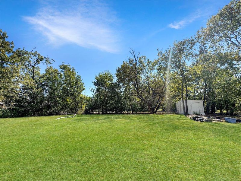View of green lawn featuring a shed View of green lawn featuring a shed