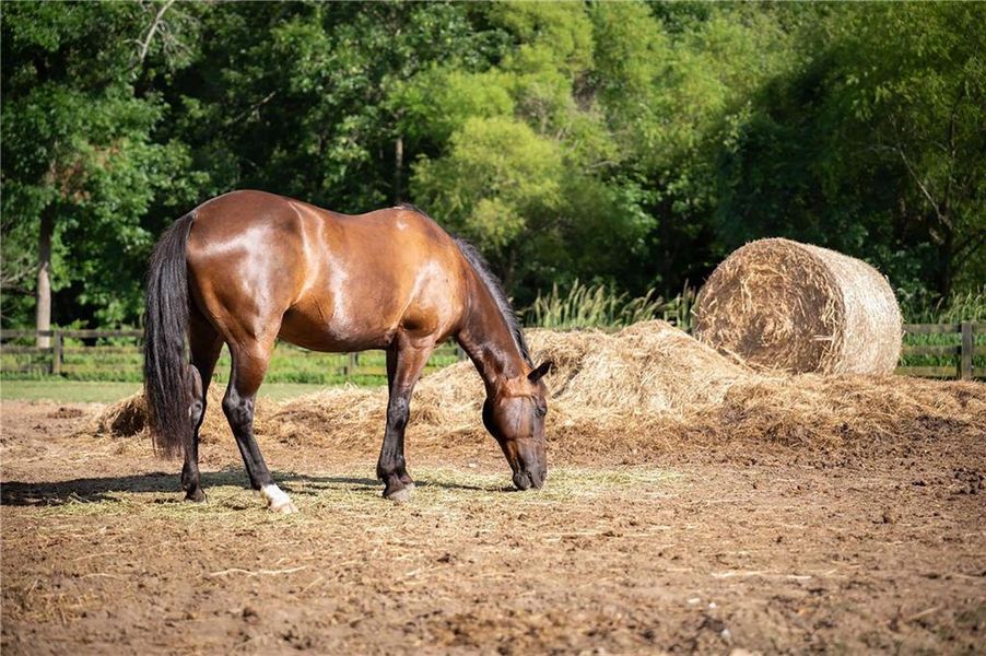 Natural landscape and outdoor views near Echo at Crabapple in Milton (Image 59).