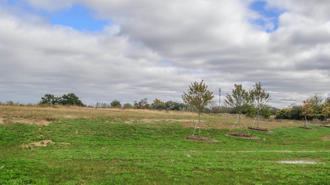 Outdoor and nature views near homes built from the The Abington by Norfolk Homes in Valleys, Jackson (Image 89).
