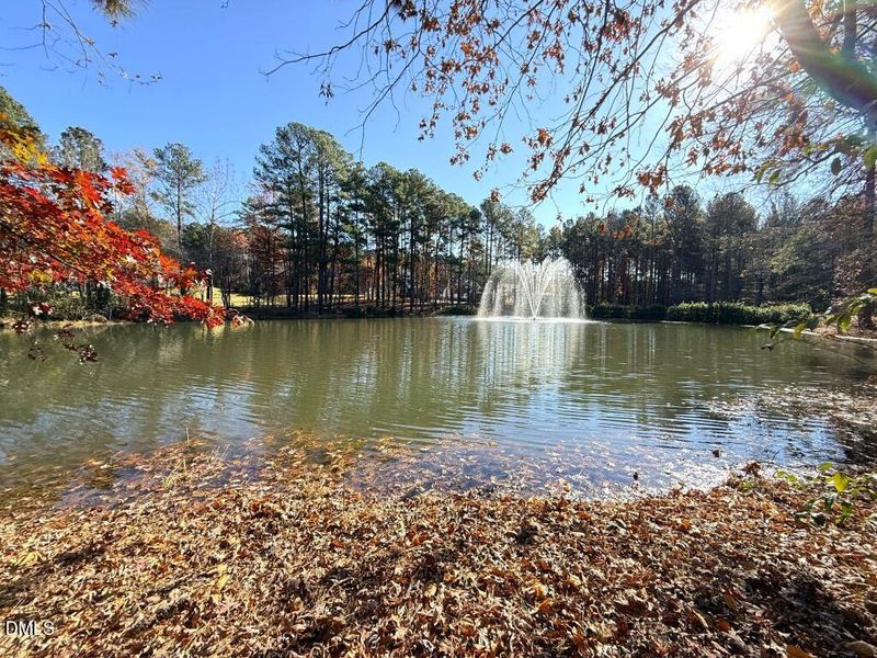 IMG_1401 2 (Medium) IMG_1401 2 (Medium)