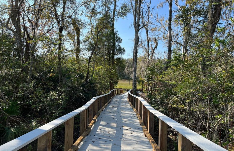 Natural landscape and outdoor views near Wingate Landing in Jacksonville (Image 29).