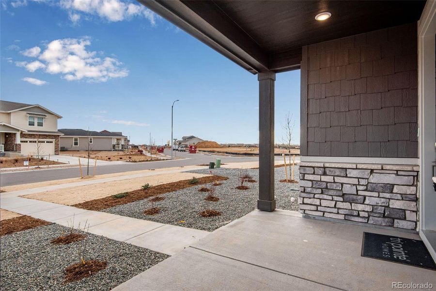 Exterior details and patio area of a home in Painted Prairie, Aurora (Image 25).