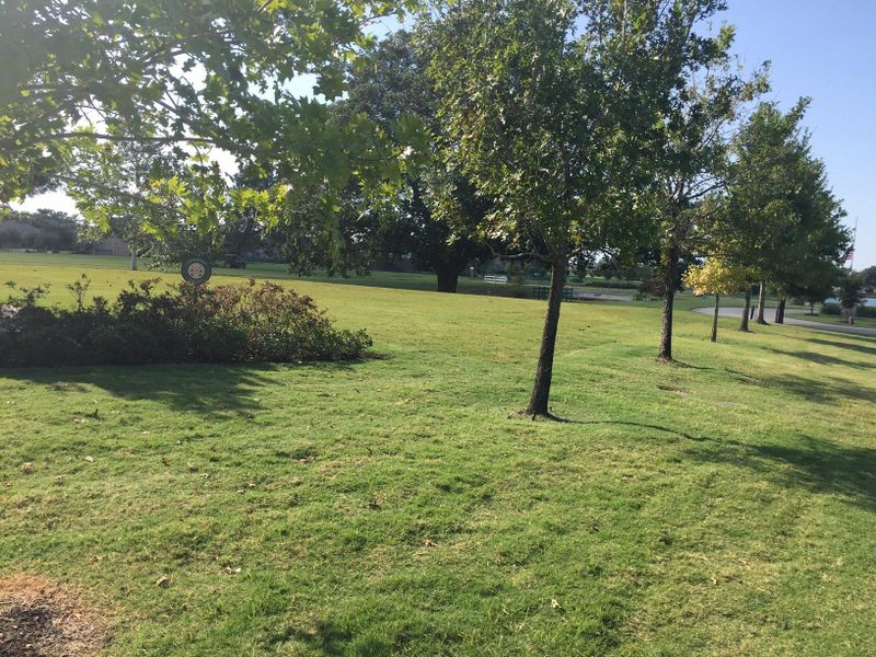 Natural landscape and outdoor views near  in Fulshear (Image 5).