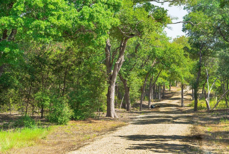Natural landscape and outdoor views near  in Austin (Image 15).