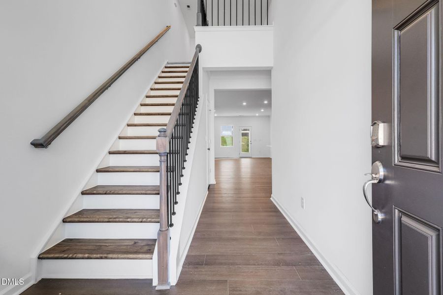 SUN_CaitlinCrossing_Pic_Davidson-36