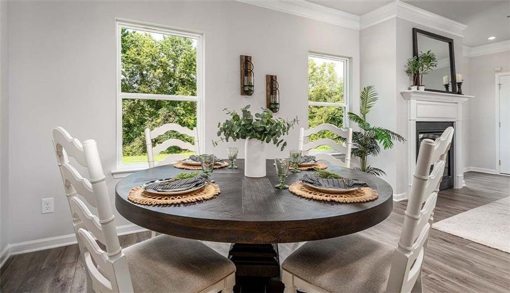 Furnished interior view inside a new home in Saddle Ridge, Calhoun (Image 12).