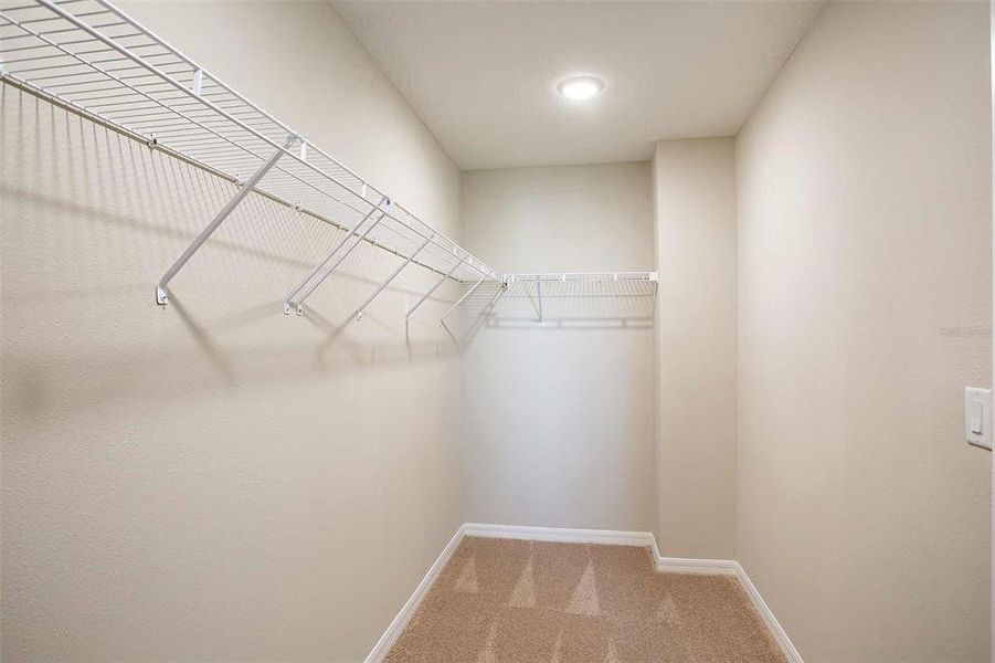 Spacious, unfurnished interior of a new home in Crosswinds, Haines City (Image 24).