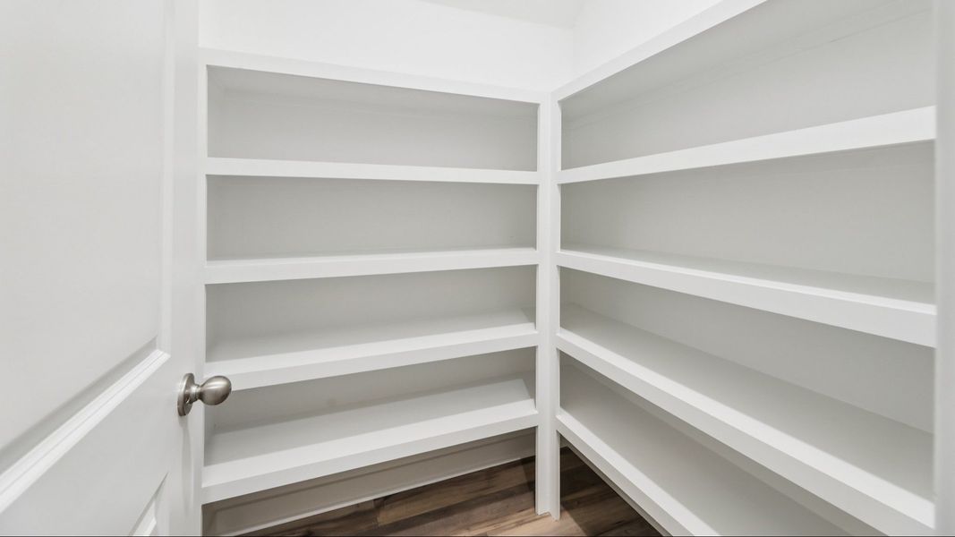 Pantry with built-in shelves