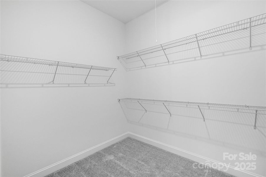 305 Basil Drive ~ Ready Now!