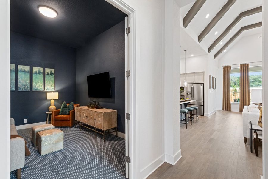 Representative Entertainment Room - some options shown Representative Entertainment Room - some options shown