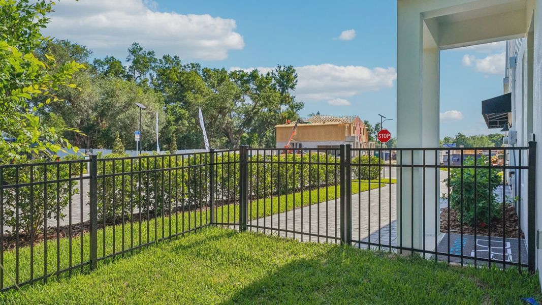 The Fenced Backyard