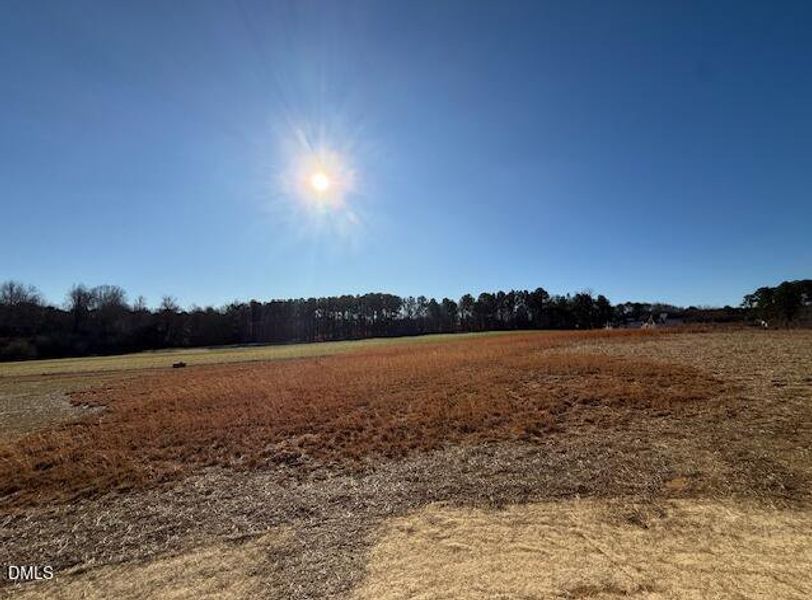 Screenshot 2026-01-15 113112