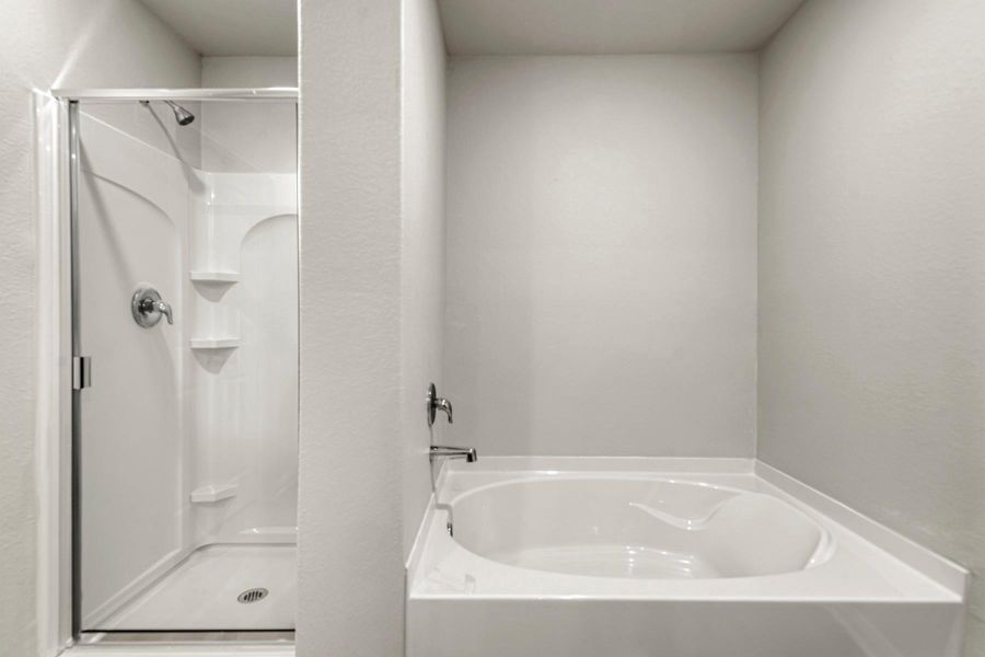 Primary Bathroom comes with a separate soaking tub and shower