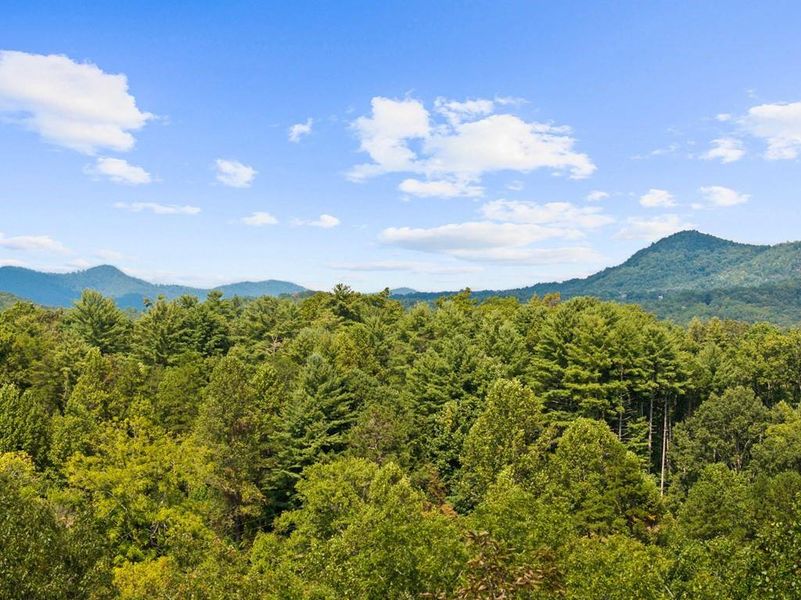 Natural landscape and outdoor views near  in Mineral Bluff (Image 36).